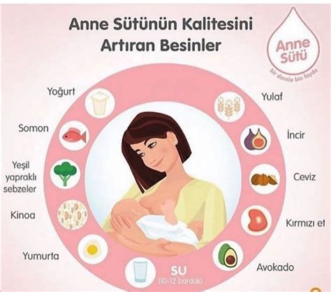 Anne sütü nasıl artar? Anne sütünü artıran besinler ve yiyecekler.